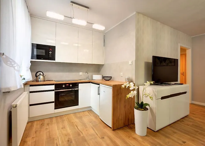 Nowoczesne I Eleganckie Sun Seasons 24 W Karpaczu By Renters קרפאז'